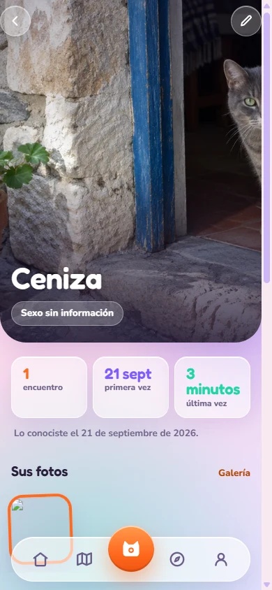 La ficha de un gato en CatGO!